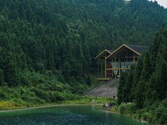 -武陵山森林公园