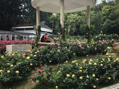 -人民公园(罗湖区)