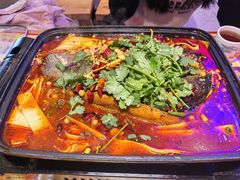 -八条友鲜货烧烤·脆皮烤鱼(石岩旗舰店)