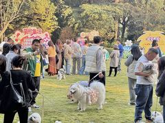 -上海神旺大酒店