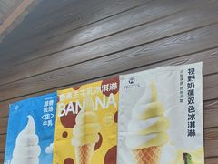 -东明山森林公园