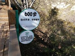 -大岭沟猕猴桃谷风景区