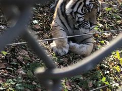 -哈尔滨北方森林动物园