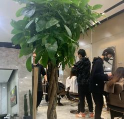 -IN STYLE·全国形象店