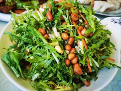 -黑龙江美食城(三角公园店)