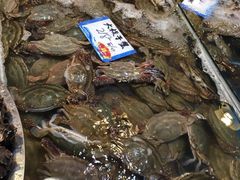 -旺角小渔村·海肠捞饭开创者(环山路店)