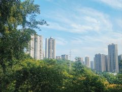 -龙头寺公园