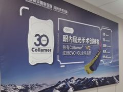 -上海大学附属上海和平眼科医院