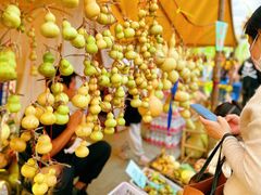 -汉长安城未央宫国家考古遗址公园