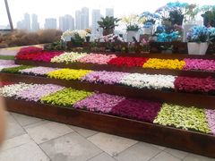 -重庆市江北嘴中央商务区中央公园