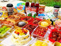 -上海共青森林公园