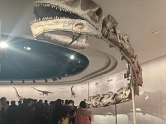 -自贡恐龙博物馆