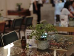 大堂-PlantsEatery·植物食堂(REX春熙店)