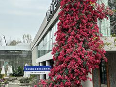 -刘家花园·柴火鸡·中餐酒楼·西昌烧烤(三圣乡店)