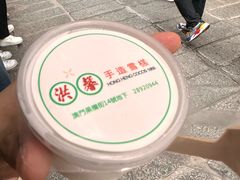 -洪馨椰子