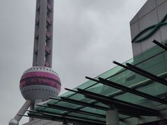 -上海海洋水族馆