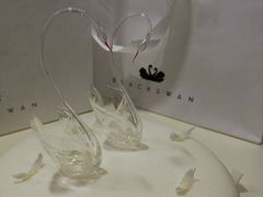 -BLACKSWAN黑天鹅(环球店)