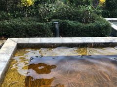 -英德宝晶宫天鹅湖茶语温泉