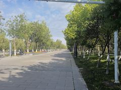 -伊犁河景区