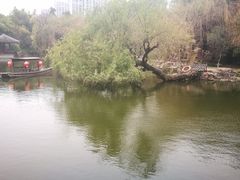 -水绘园