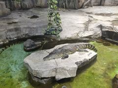 -泉城欧乐堡海洋极地世界