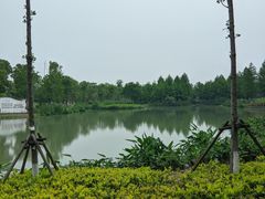 -九科绿洲