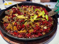 -老板恋上鱼(高新万达店)