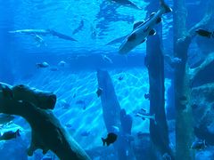 -福州罗源湾海洋世界旅游区