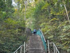 -合肥野生动物园