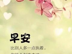 -官人桥番茄米线(温江行署店)
