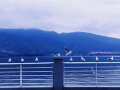 -海埂大坝