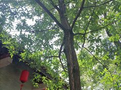 -韩文公祠