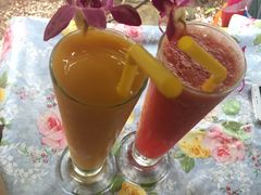 -Jungle Kitchen