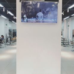 -ASA HAIR SALON