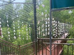-崖口红树林海鲜餐厅