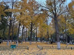 -山东大学(趵突泉校区)