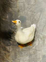 -Zoolung Zoolung动物主题公园(海信广场店)