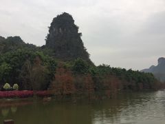 -南宁花花大世界景区