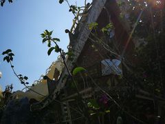 -疯狂屋
