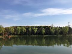 景点-昆山城市生态森林公园