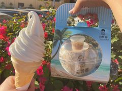 -自然椰·海南清补凉(海月广场店)