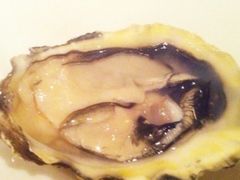 -非常时髦餐厅VUE Restaurant(外滩茂悦大酒店)