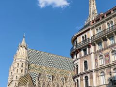-斯蒂芬主教座堂(Stephansdom)
