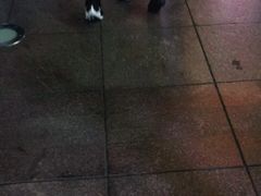 -上海世茂皇家艾美酒店