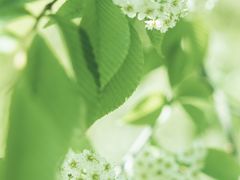 -龙苍沟森林公园