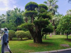-南宁南湖公园