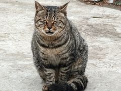 -鸡鸣汤包(红山动物园店)