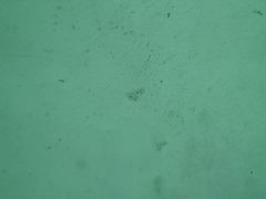 -上足·影院足道·SPA(红岭店)