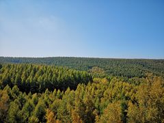 -塞罕坝国家级自然保护区