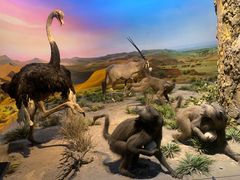 -国家自然博物馆